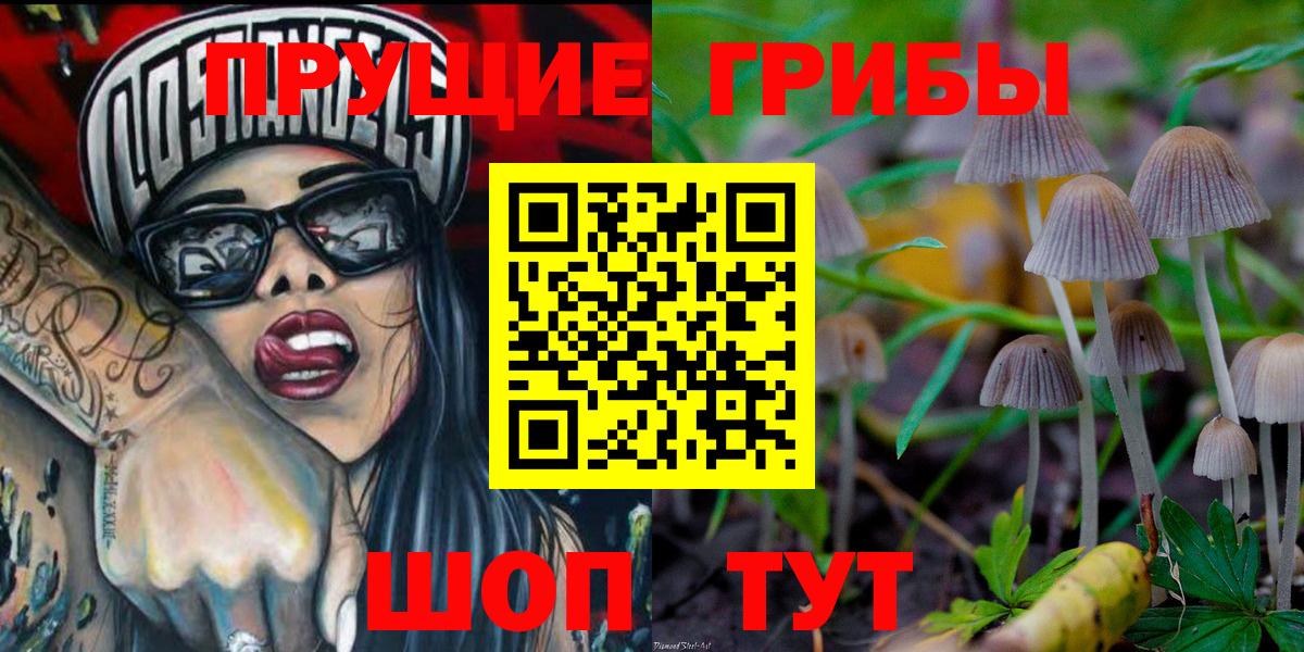 Псилоцибиновые грибы GOLDEN TEACHER Тельмана