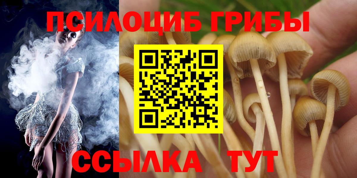 Тельмана  Псилоцибиновые грибы GOLDEN TEACHER  Вход с VPN 